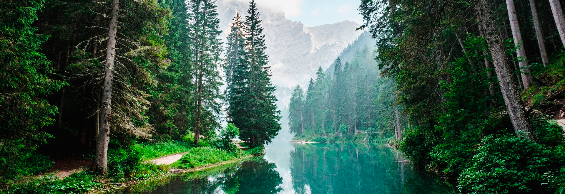 Castle Hill Solutions